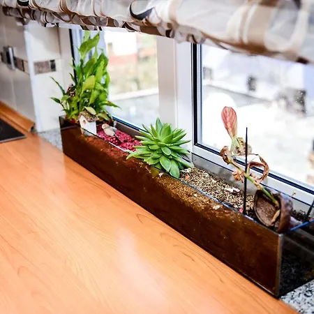 Ksenija Appartamento *